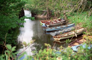Boats in Killarney